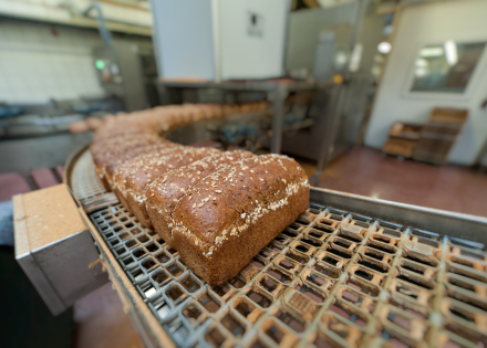 Bread sorting belt